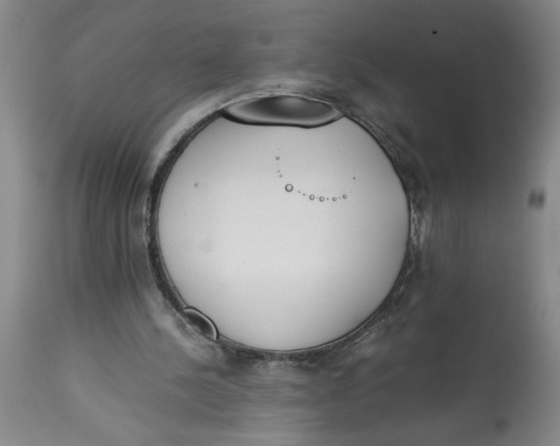 X0000113170244200909251424