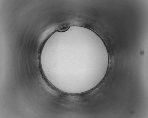 X0000113170245200909251424