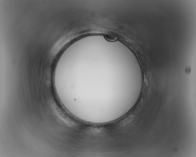 X0000113170247200909251424