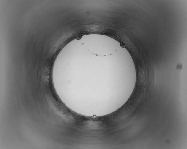 X0000113170255200909251425