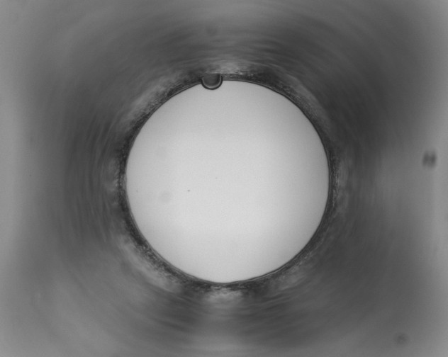 X0000113170257200909251425