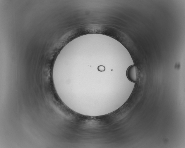 X0000113170259200909251425