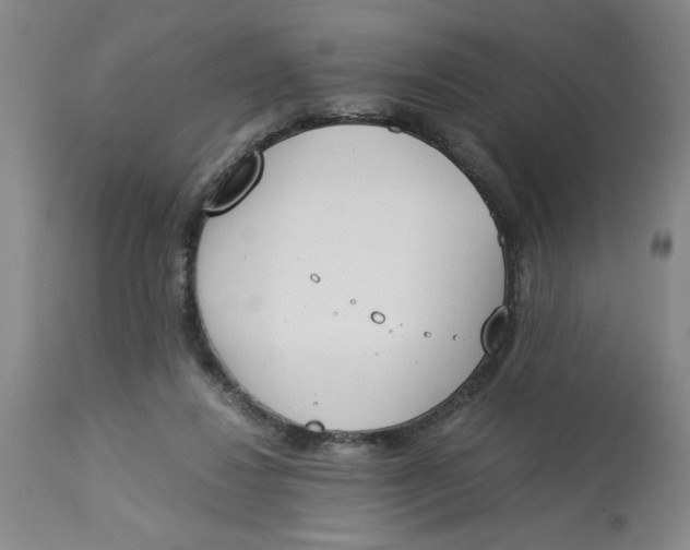X0000113170260200909251425