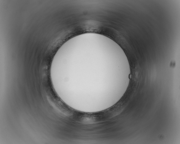 X0000113170263200909251425