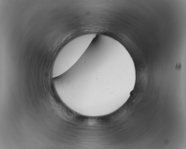 X0000113170264200909251425