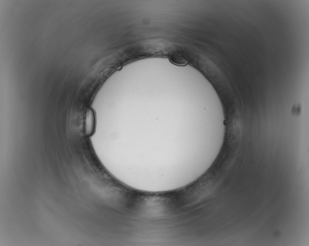 X0000113170268200909251425