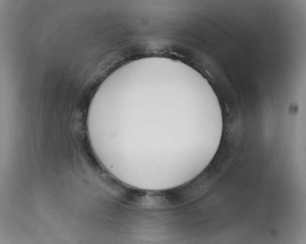 X0000113170270200909251425