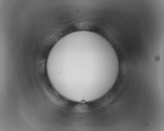 X0000113170271200909251425