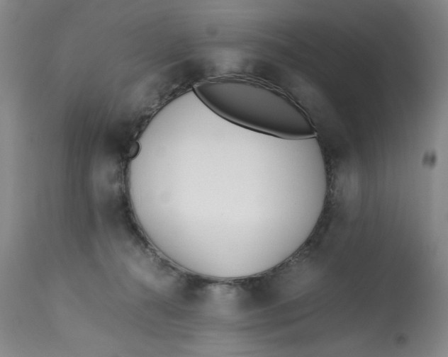 X0000113170272200909251425