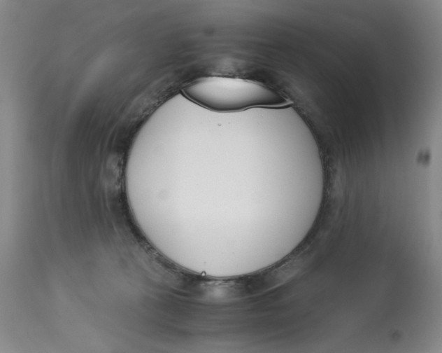 X0000113170273200909251425