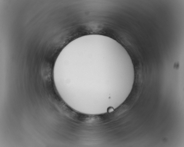 X0000113170274200909251425