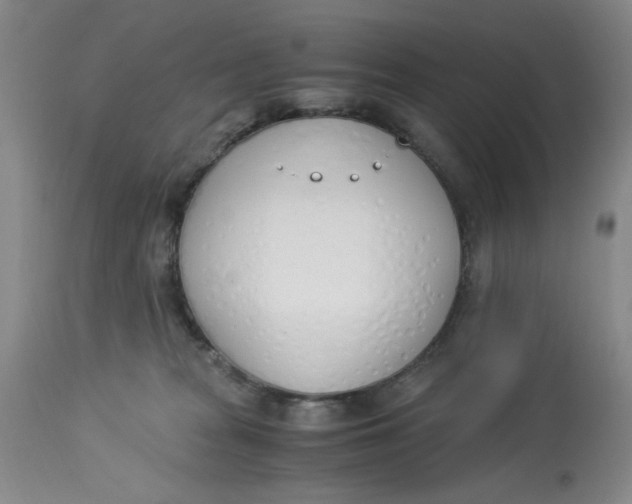 X0000113170277200909251425