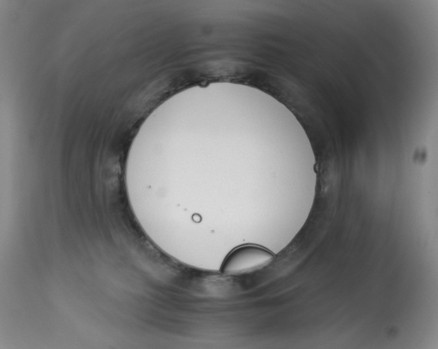 X0000113170279200909251425