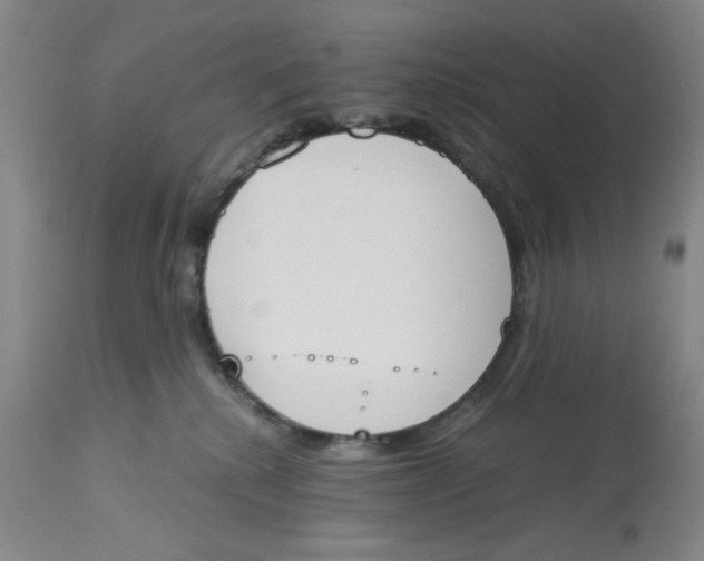 X0000113170280200909251425