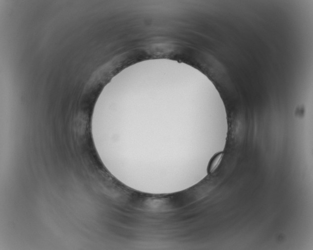 X0000113170283200909251425