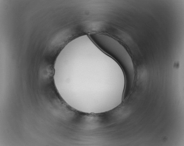 X0000113170284200909251425