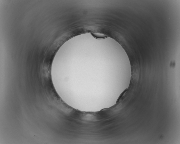 X0000113170285200909251425