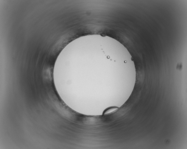 X0000113170286200909251425