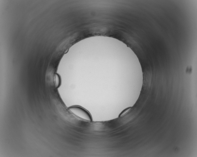 X0000113170287200909251425