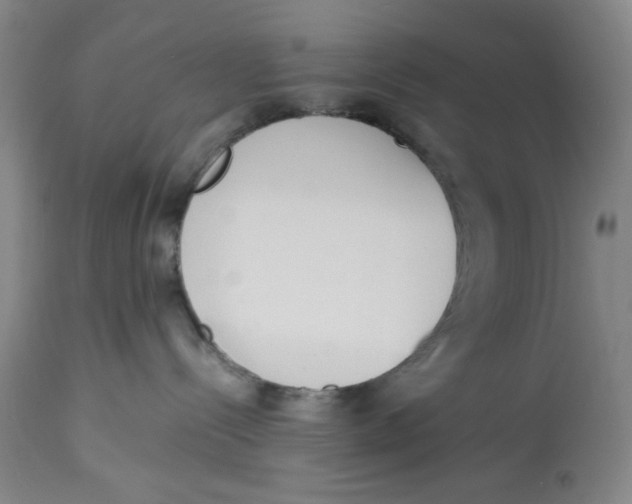 X0000113170288200909251425