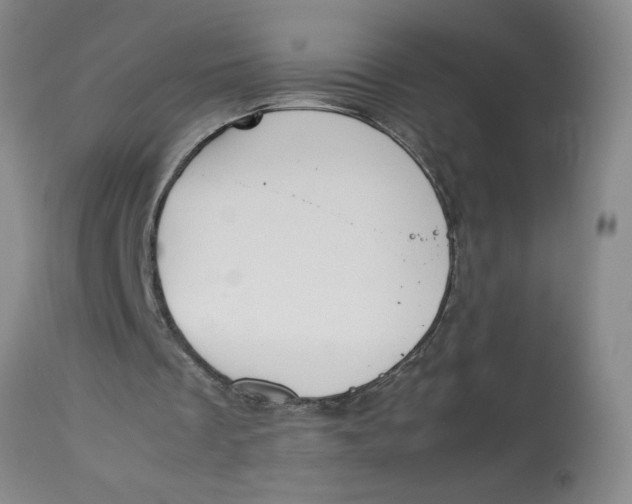 X0000113170289200909251424