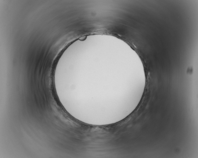 X0000113170290200909251424