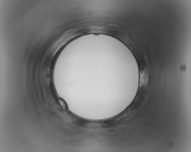 X0000113170291200909251424