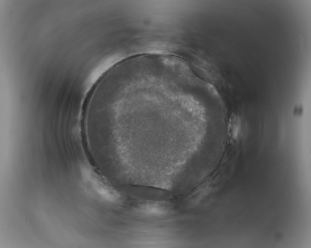 X0000113170292200909251424