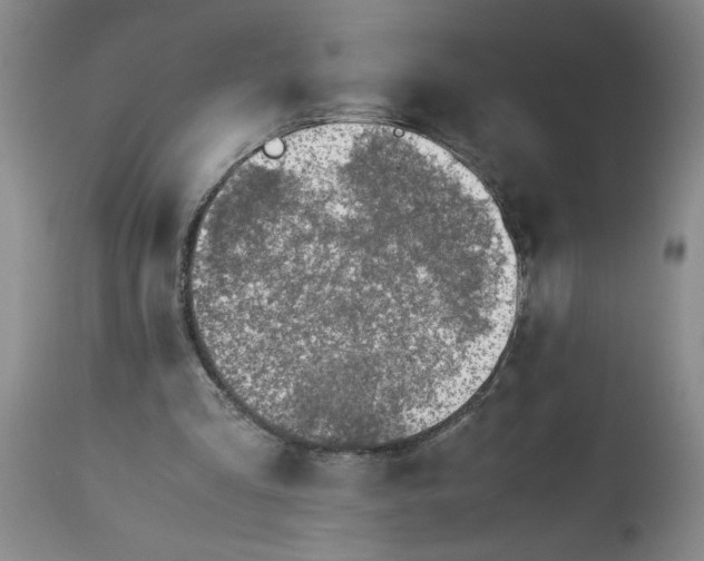 X0000113170293200909251424