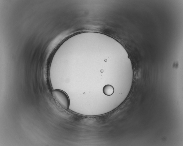 X0000113170294200909251424