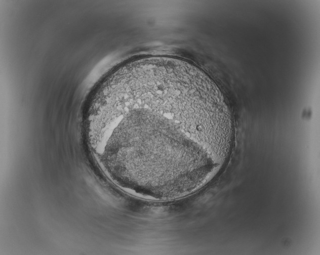 X0000113170295200909251424