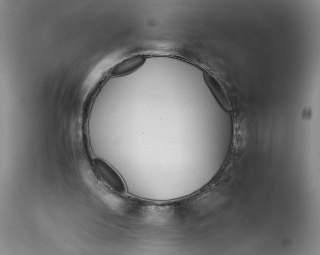 X0000113170296200909251424