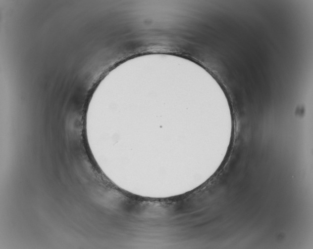 X0000113170297200909251424