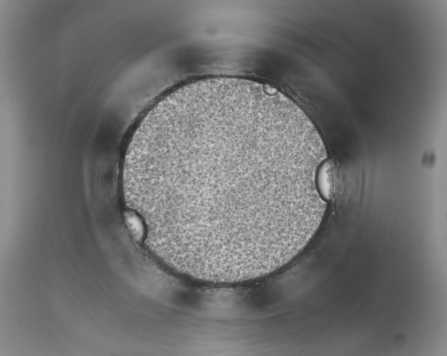 X0000113170301200909251424