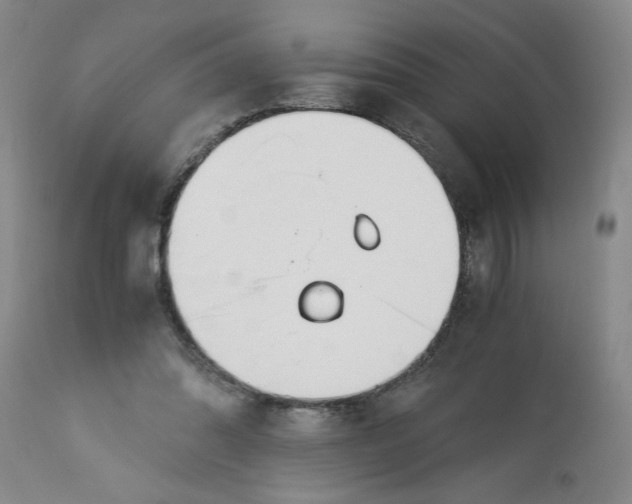 X0000113170302200909251424