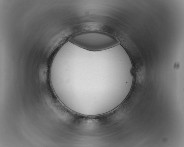 X0000113170304200909251424