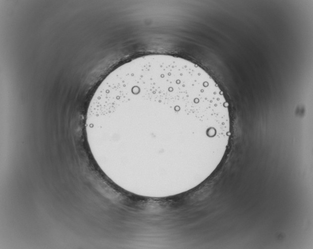 X0000113170305200909251424