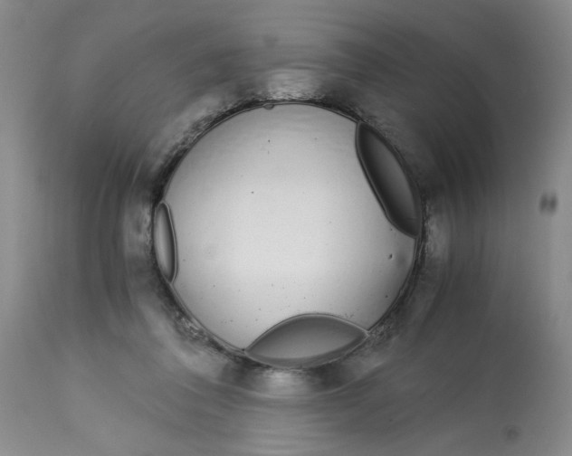 X0000113170308200909251424