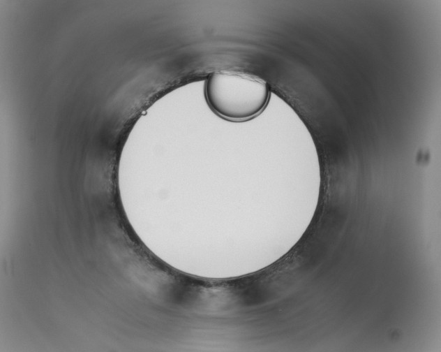 X0000113170309200909251424