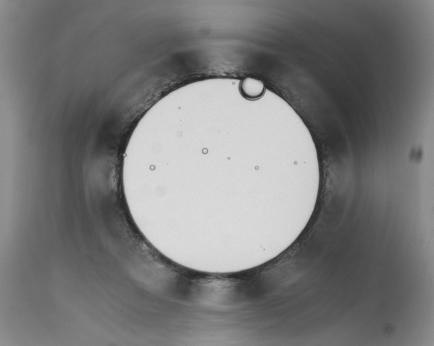 X0000113170313200909251424