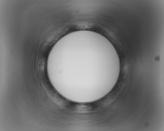 X0000113170315200909251424