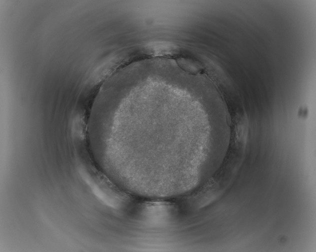 X0000113170316200909251424