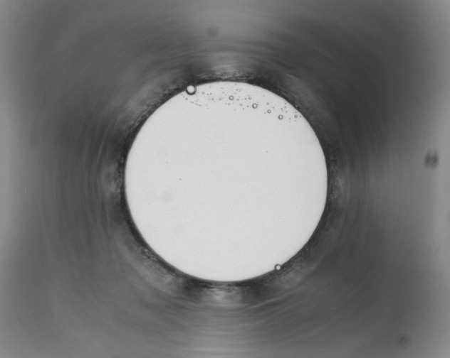 X0000113170317200909251424