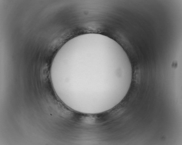 X0000113170318200909251424