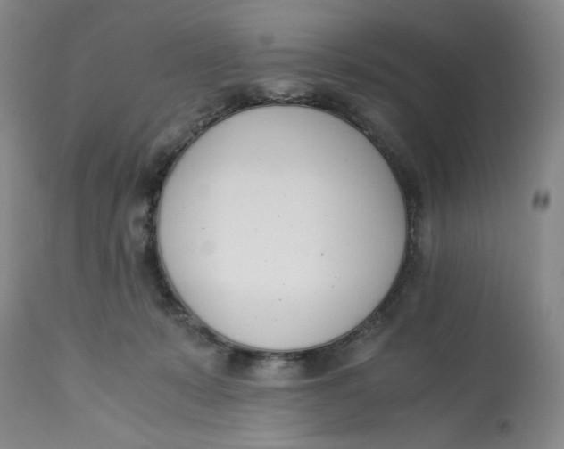 X0000113170319200909251424