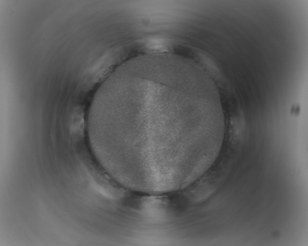 X0000113170320200909251424