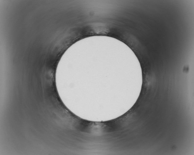 X0000113170321200909251424