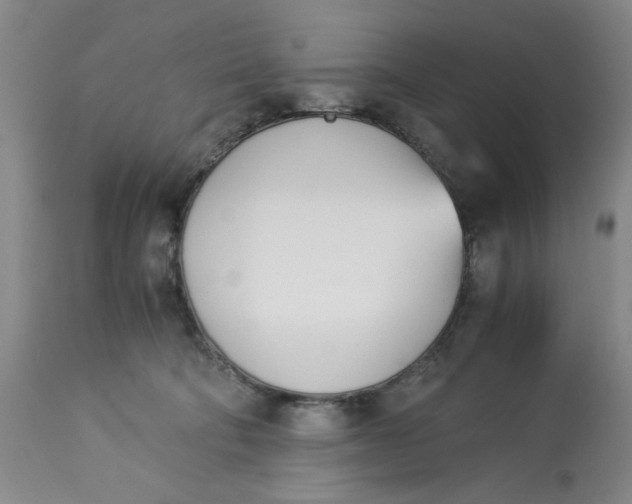 X0000113170322200909251424