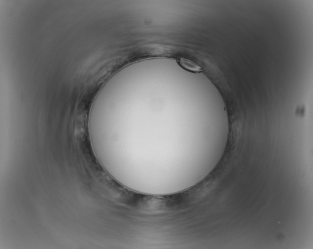 X0000113170325200909251424