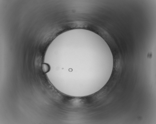 X0000113170326200909251424